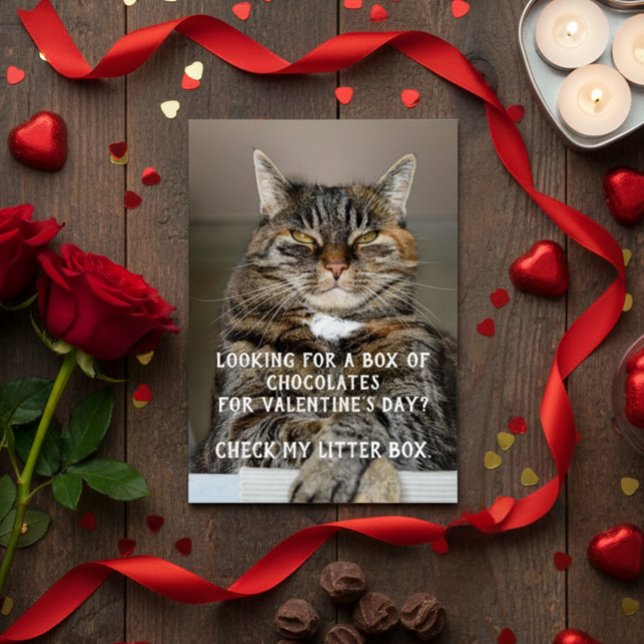 Funny Cat Valentine's Day Meme Anti-Valentin (Von Creator hochgeladen)