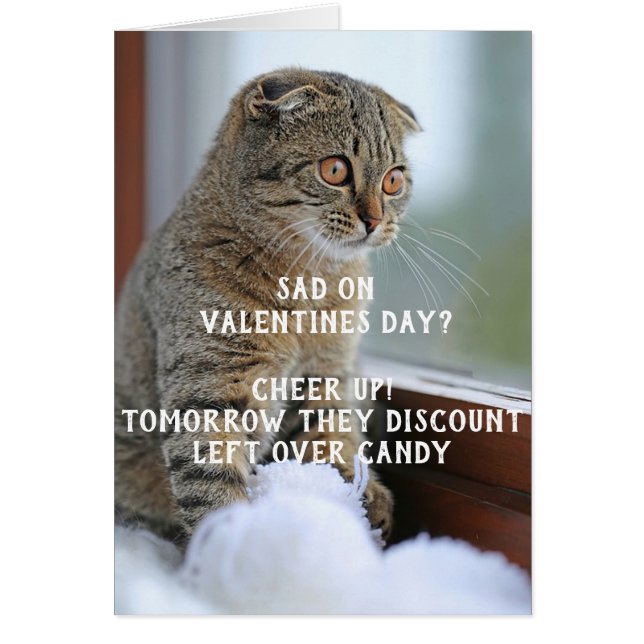 Funny Cat Valentine's Day Meme Single (Vorne)