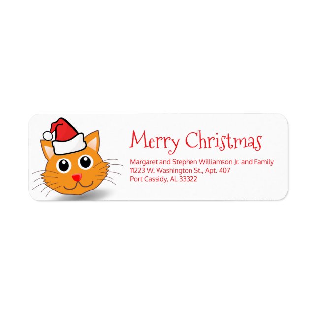 Funny Cat Wearing Weihnachtsmannmütze Niedlich Fro (Vorne)