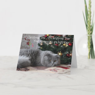Funny Cat Weihnachtsschmuck ist Geschichte Feiertagskarte