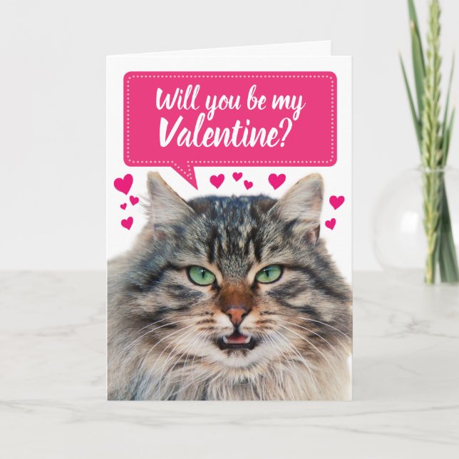 Funny Cat wirst du mein Valentin sein? Karte (Vorderseite)