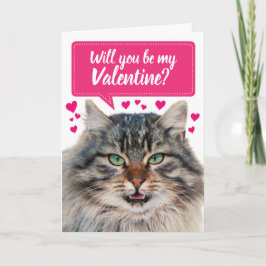 Funny Cat wirst du mein Valentin sein? Karte