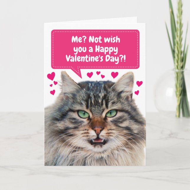 Funny Cat wünscht Ihnen einen schönen Valentinstag Karte (Vorderseite)
