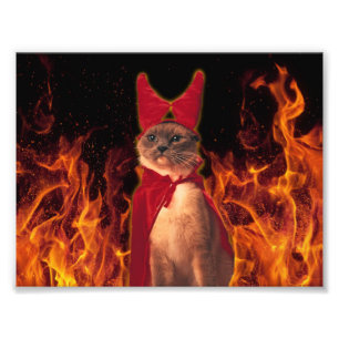 Funny Cat zu Halloween Devil Costume Fotodruck