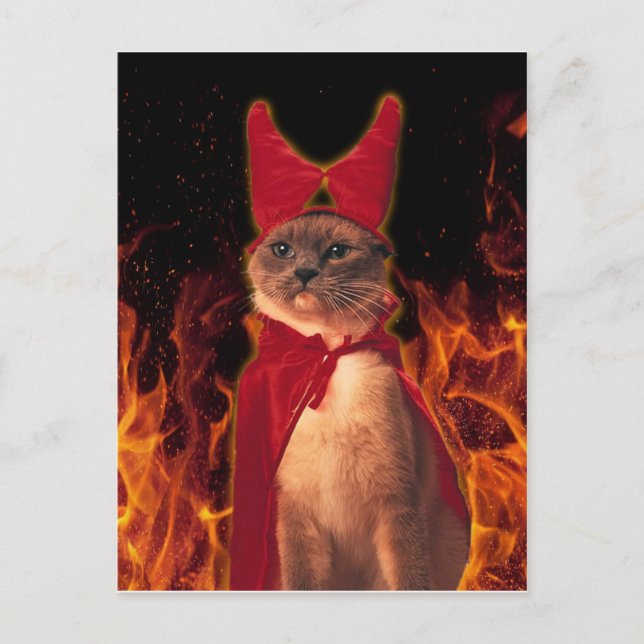 Funny Cat zu Halloween Devil Costume Postkarte (Vorderseite)