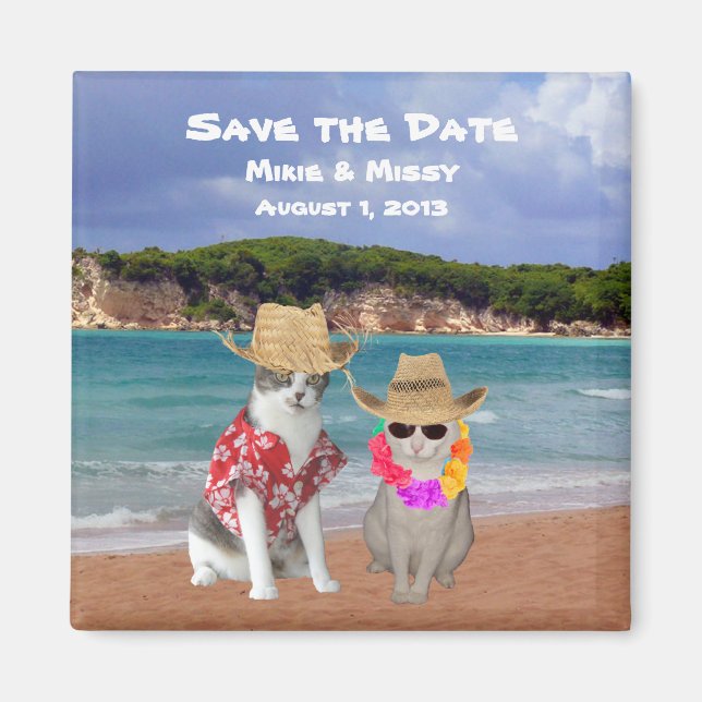 Funny Cats Beach Hochzeit Save the Date Magnet (Vorne)
