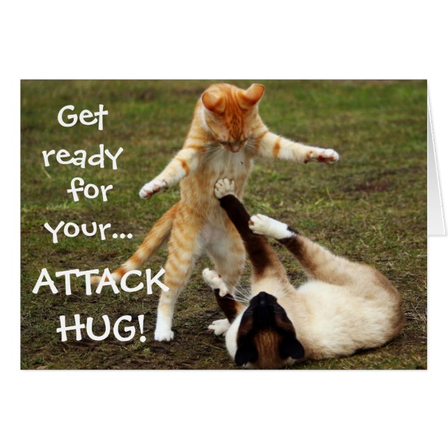 Funny Cats Capack Attack Hug (Vorderseite (Horizontal))