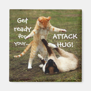 Funny Cats Capack Attack Hug Magnet