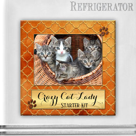 Funny Cats Crazy Cat Lady Foto Magnet