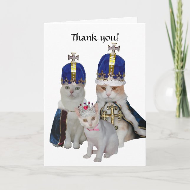 Funny Cats Dankeschön Card Dankeskarte (Vorderseite)