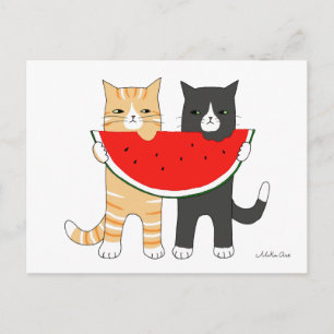 Funny Cats Eros Bendato Postkarte