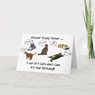 Funny Cats Geburtstags Grußkarte Karte
