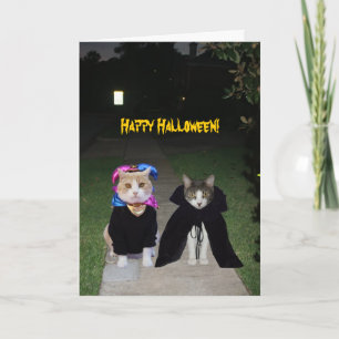 Funny Cats Halloween Karte