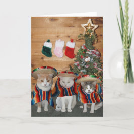 Funny Cats / Kätzchen Feliz Navidad Feiertagskarte