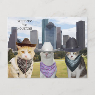 Funny Cats / Kätzchen Grüße aus Houston Postkarte