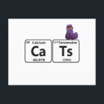 Funny Cats Periodische Tischelemente Funny Science Postkarte<br><div class="desc">witzig, Geschenk, Geburtstag, Katze, Tier, Wissenschaft, Chemie, periodisch, periodisch, Tisch, Element</div>