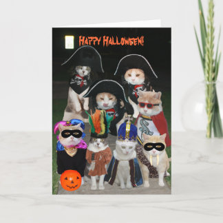 Funny Cats Prowling zu Halloween Karte