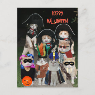 Funny Cats Prowling zu Halloween Postkarte