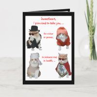 Funny Cats Valentine/Jubiläum