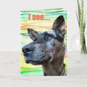 Funny Cattle Hund Head Foto farbenfroh Hintergrund Karte