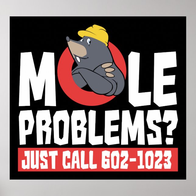 Funny Chemistry Teacher Mole Problem Gag Poster (Vorne)