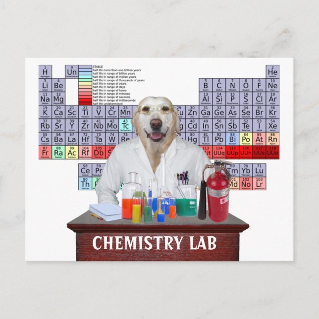 Funny Chemistry Teacher Postcard mit Labrador Postkarte (Vorderseite)