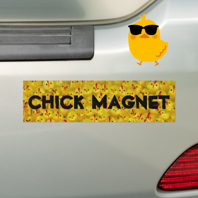 Funny CHICK MAGNET Joke Yellow Chicks Autoaufkleber (A funny bumper sticker for the chick magnet in your life!)