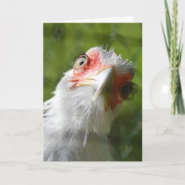 FUNNY CHICKEN BIRTHDAY CARD KARTE (Vorderseite)
