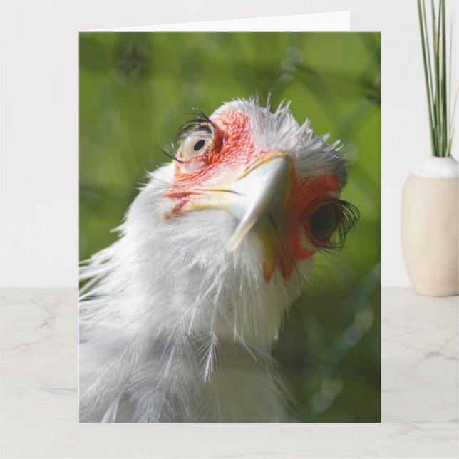 FUNNY CHICKEN BIRTHDAY GREETING CARD KARTE (Vorderseite)