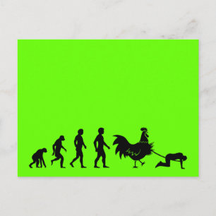 Funny Chicken Evolution Postkarte