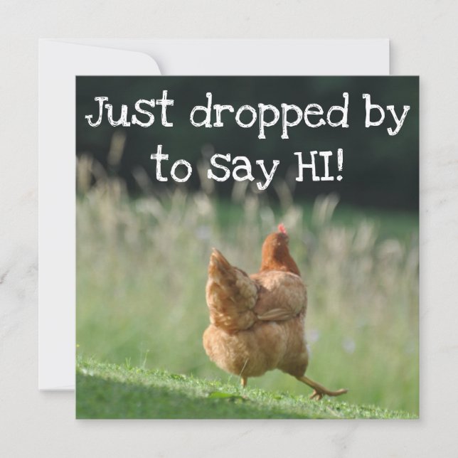 Funny Chicken Hello Quotes sagen Hi Niedlich Farm  Karte (Vorderseite)