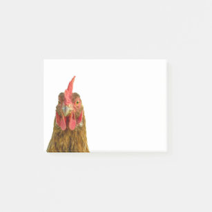 Funny Chicken Portrait Foto Post-it Klebezettel