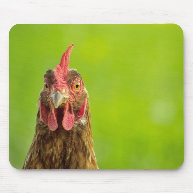 Funny Chicken Portrait - Mousepad (Vorne)