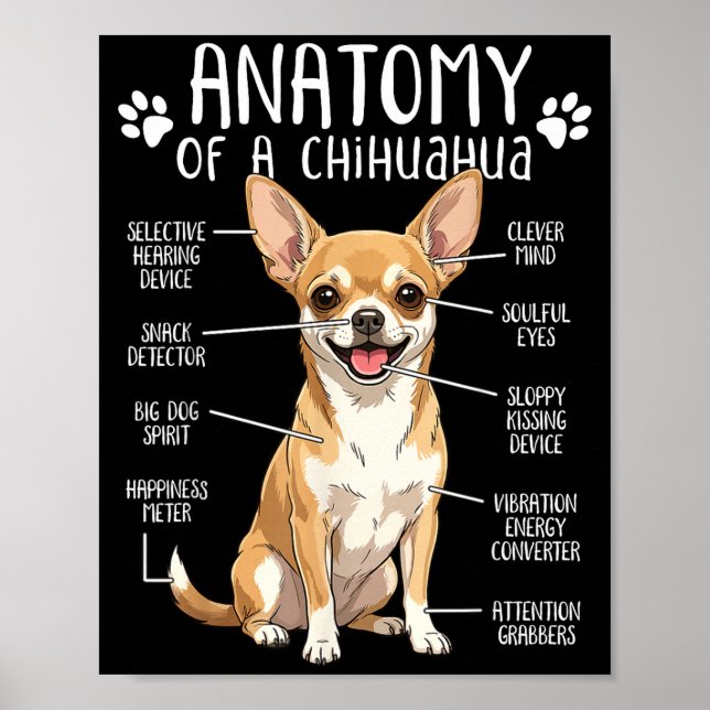 Funny Chihuahua Anatomy Of A Chihuahua Dog Owner P Poster (Vorne)