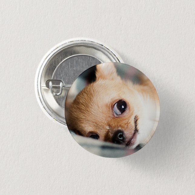 Funny Chihuahua Face Button (Vorne & Hinten)