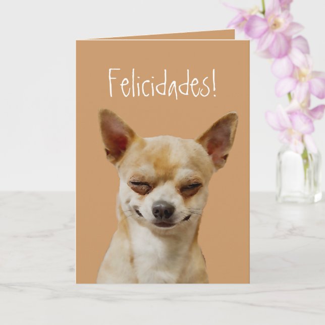 Funny Chihuahua Hund für einen Geburtstag anpassen Karte (Orchidee)