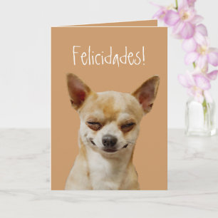 Funny Chihuahua Hund für einen Geburtstag anpassen Karte