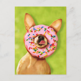 Funny Chihuahua Hund mit Sprinkle Donut auf Nase Postkarte