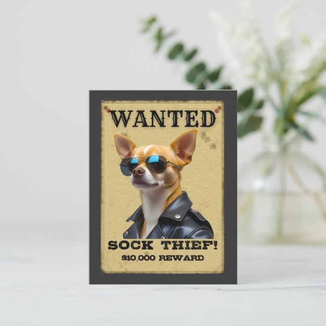 Funny Chihuahua WANTED Poster with Cool Sunglasses Postkarte (Stehend Vorderseite)