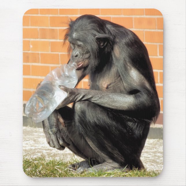 FUNNY CHIMP MOUSEPAD (Vorne)