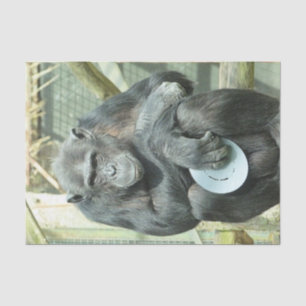 FUNNY CHIMP SEIDENPAPIER
