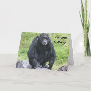 Funny Chimpanzee Geburtstag, willst du Affe machen Karte