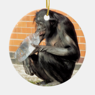 FUNNY CHIMPANZEE KERAMIK ORNAMENT