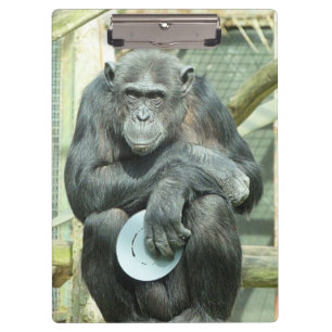 FUNNY CHIMPANZEE KLEMMBRETT