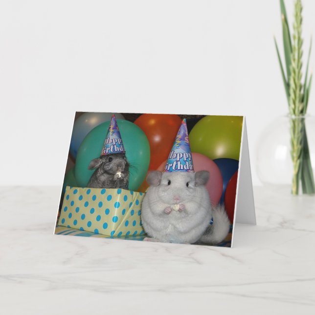Funny Chinchilla Birthday Card Karte (Vorderseite)