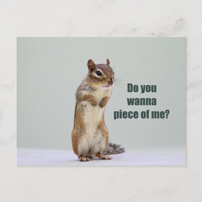 Funny Chipmunk Picture Postkarte (Vorderseite)