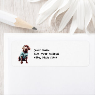 Funny Chocolate Labrador in Christmas Sweater Ansc