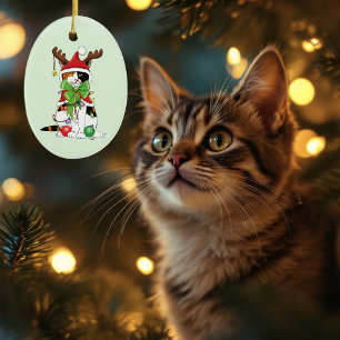 Funny Christmas Calico Cat Keramik Ornament