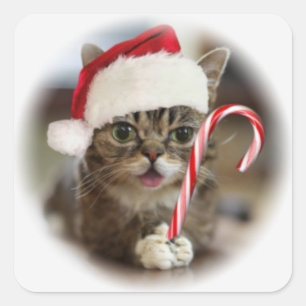 Funny Christmas Cat Quadratischer Aufkleber
