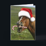 Funny Christmas horse with Santa hat smiling Karte<br><div class="desc">horse animal christmas horses, 
mouth lips pasture animals, 
country pony equestrian looking, 
cold santa head hair , 
claus hat xmas face, 
happy winter snow fun , 
white funny farm beautiful , 
equine cute holiday red , 
christmas horse animal horses, </div>